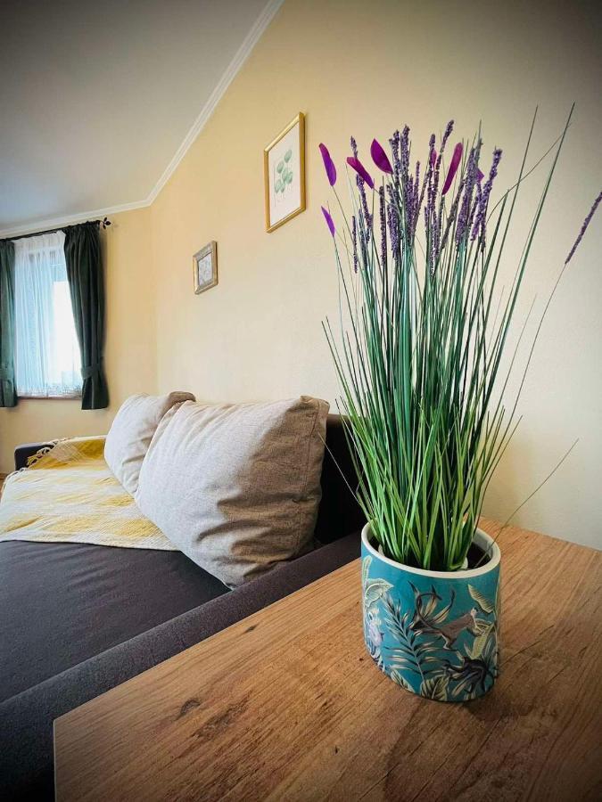 The Green Guest House Of Veliko Tarnovo-Amazing View, Top Location Buitenkant foto
